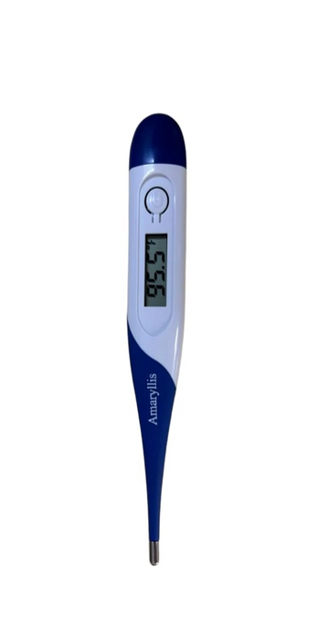 Thermometer Digital
